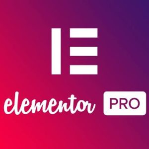 إضافة Elementor pro